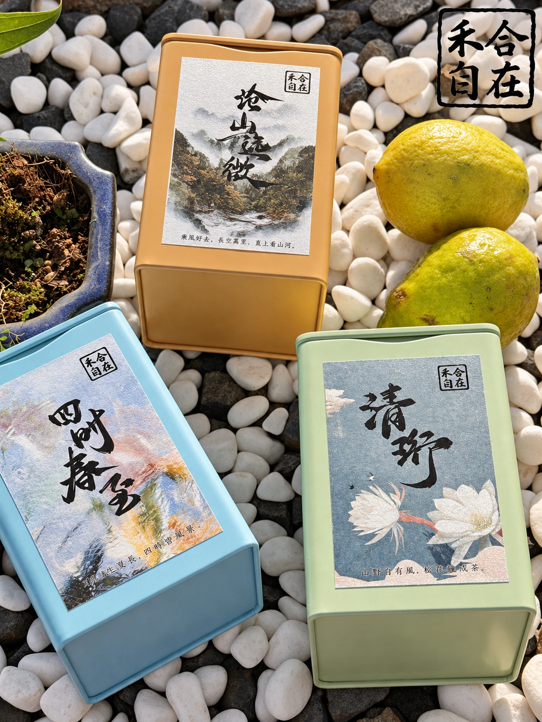 多款茶叶包装与果实摆拍
